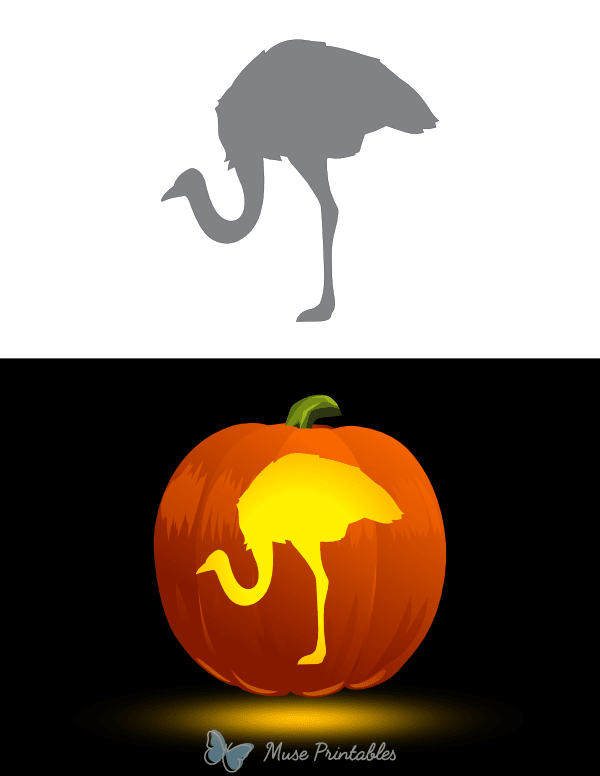 Bowing Ostrich Pumpkin Stencil