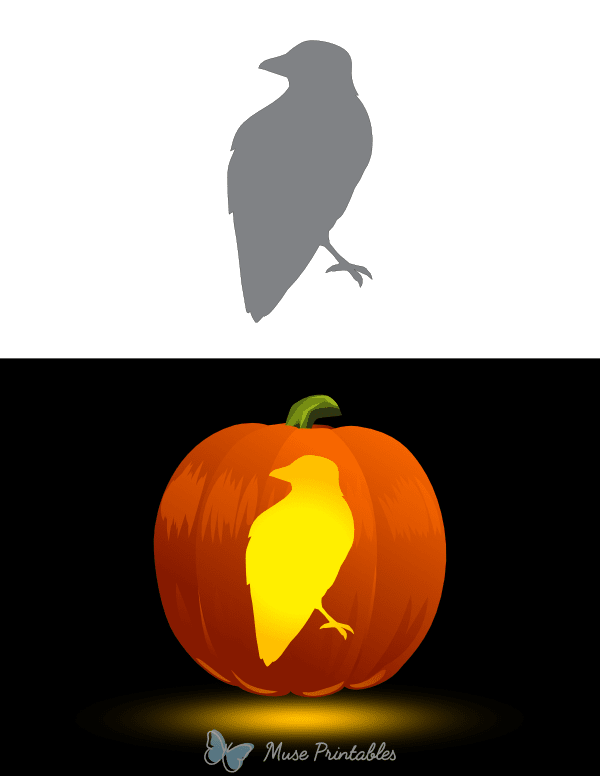 Crow Outline Pumpkin Stencil