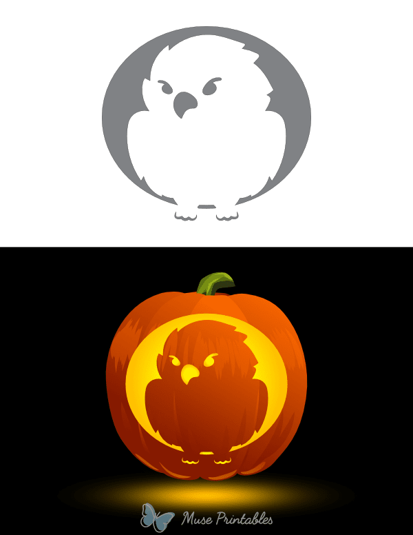 Cute Cartoon Eagle Pumpkin Stencil