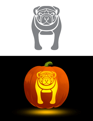 Detailed Bulldog Pumpkin Stencil