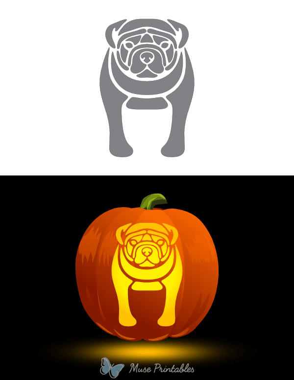 Detailed Bulldog Pumpkin Stencil