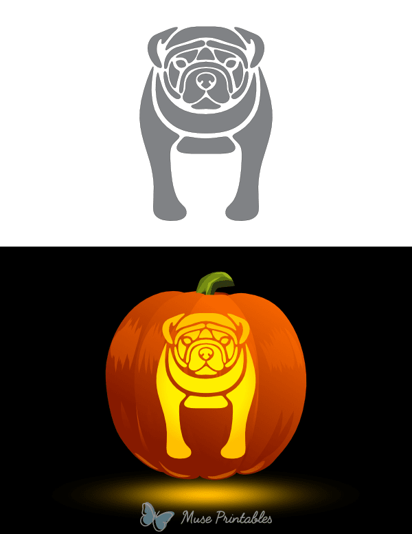 Printable Detailed Bulldog Pumpkin Stencil