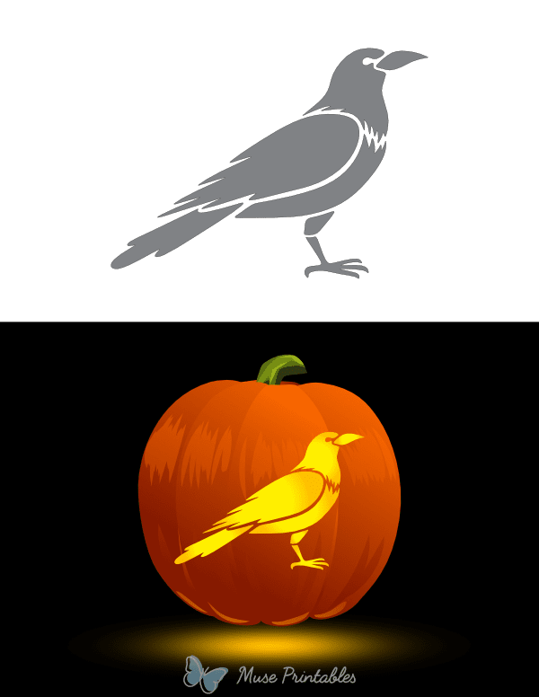 Detailed Crow Pumpkin Stencil