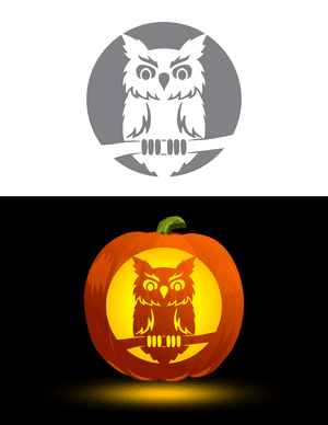 Detailed Owl Pumpkin Stencil