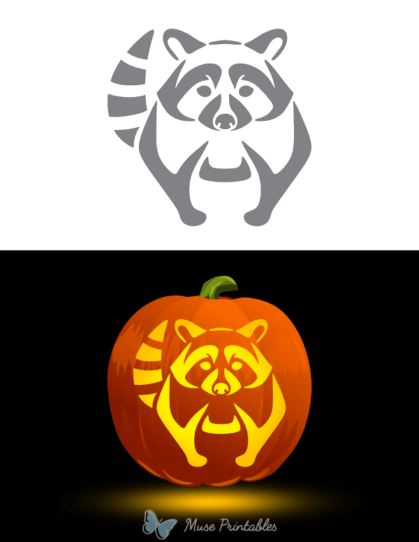 Detailed Raccoon Pumpkin Stencil