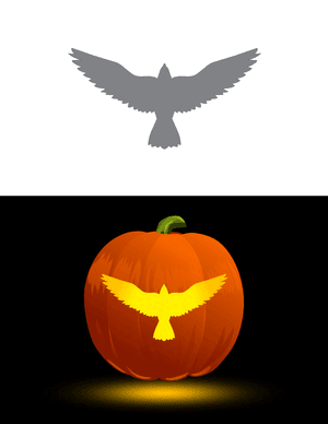 Eagle Top Down View Pumpkin Stencil