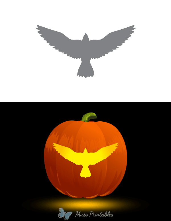 Eagle Top Down View Pumpkin Stencil