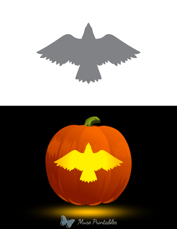 Easy Eagle Top View Pumpkin Stencil