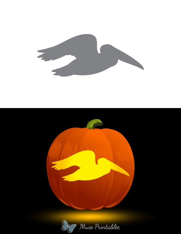 Easy Flying Pelican Pumpkin Stencil