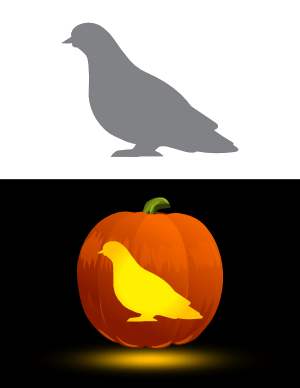 Easy Pigeon Pumpkin Stencil