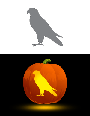 Falcon Pumpkin Stencil