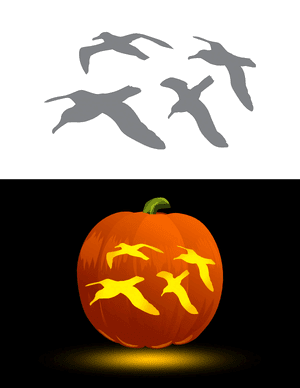 Flying Albatrosses Pumpkin Stencil