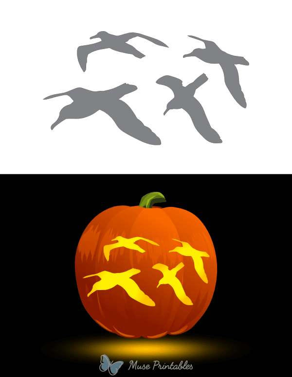 Flying Albatrosses Pumpkin Stencil