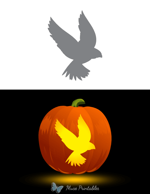 Flying Falcon Outline Pumpkin Stencil