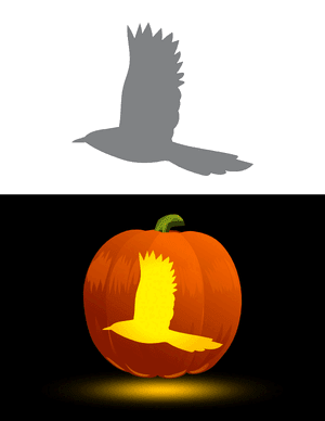 Flying Magpie Pumpkin Stencil