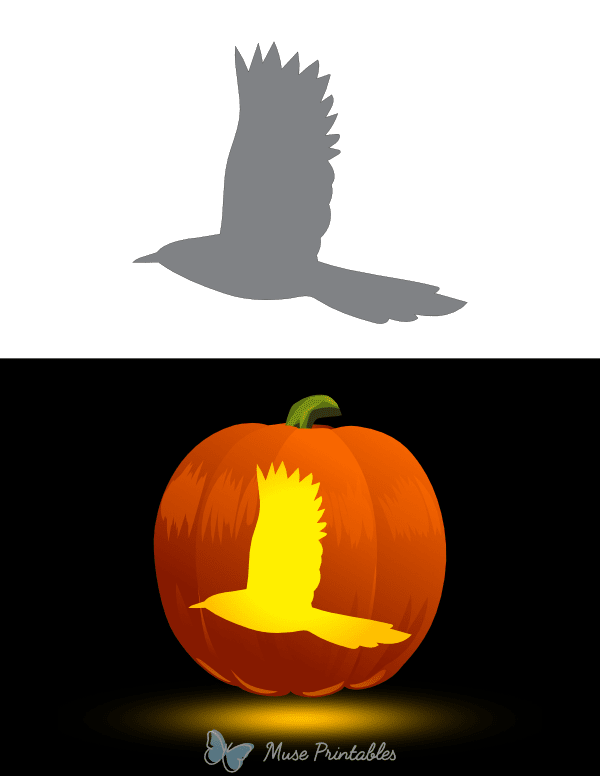 Flying Magpie Pumpkin Stencil