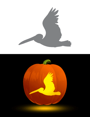 Flying Pelican Pumpkin Stencil