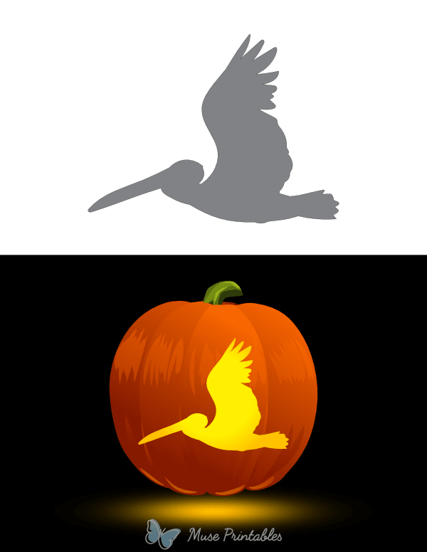 Flying Pelican Pumpkin Stencil