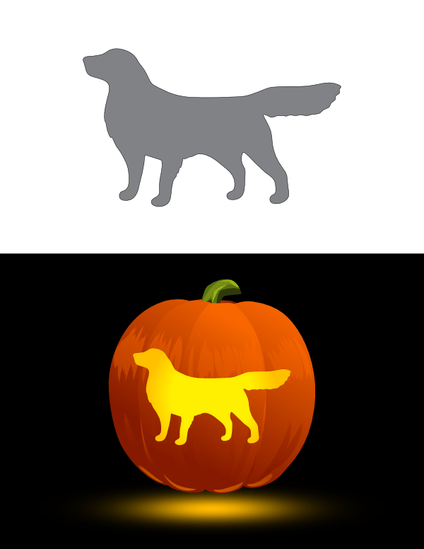 Golden Retriever Pumpkin Pattern