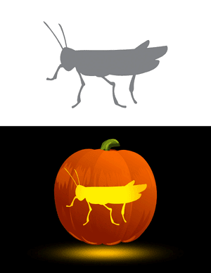 Grasshopper Outline Pumpkin Stencil