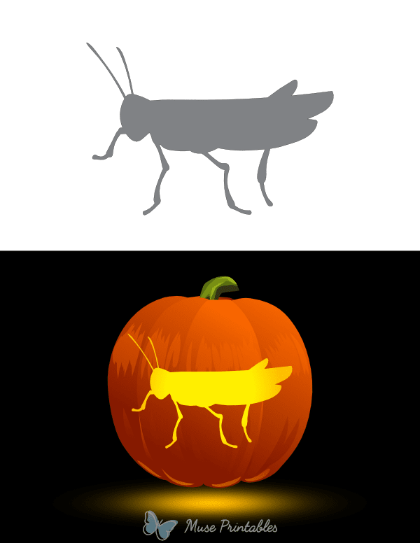 Grasshopper Outline Pumpkin Stencil