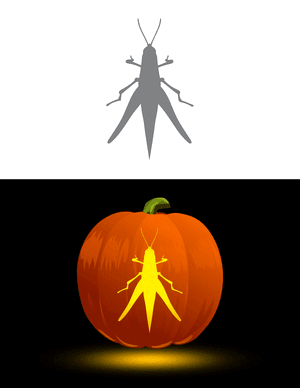 Grasshopper Overhead View Pumpkin Stencil