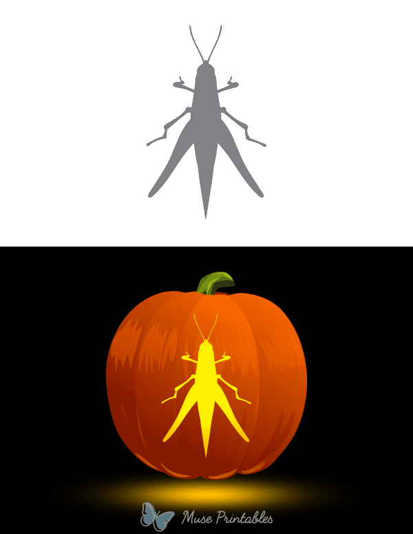 Grasshopper Overhead View Pumpkin Stencil