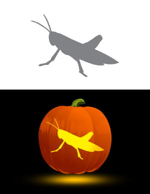 Grasshopper Pumpkin Stencil
