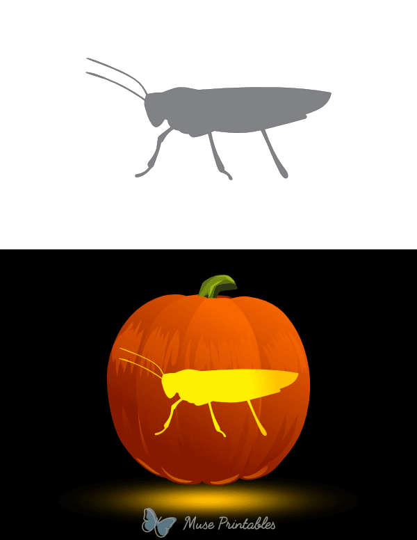 Grasshopper Silhouette Pumpkin Stencil