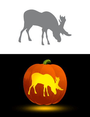 Grazing Moose Pumpkin Stencil