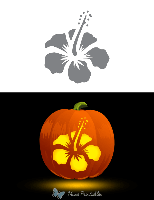 Hibiscus Pumpkin Stencil