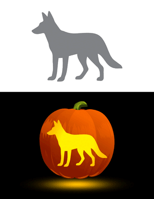 Jackal Pumpkin Stencil