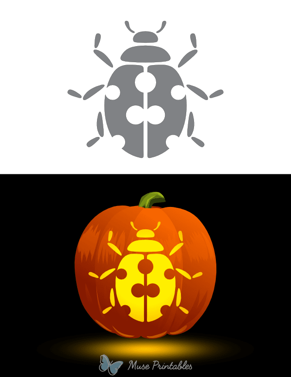 Ladybug Pumpkin Stencil