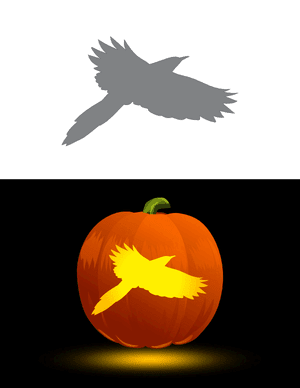 Magpie in Flight Pumpkin Stencil