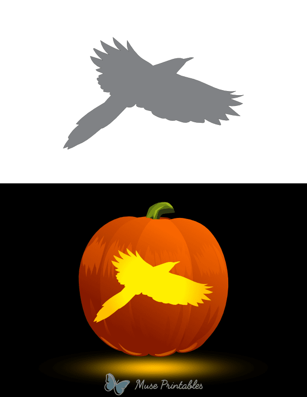 Magpie in Flight Pumpkin Stencil