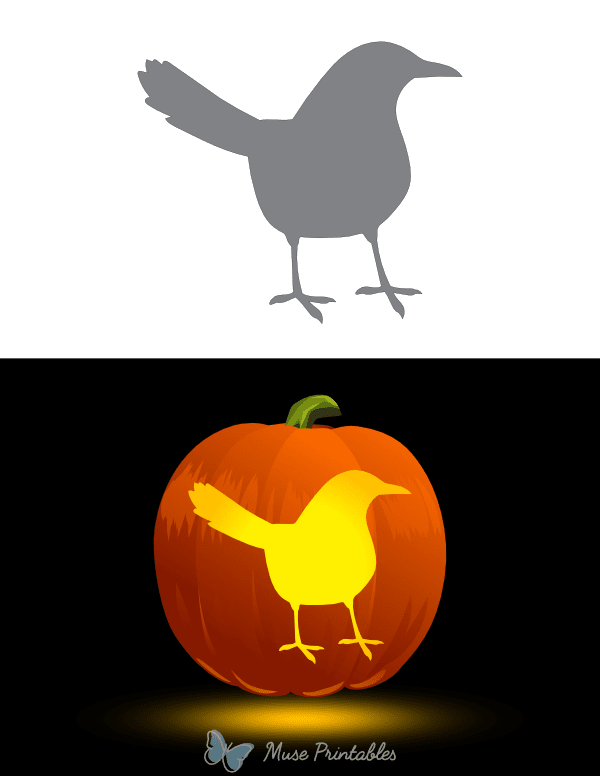 Magpie Pumpkin Stencil