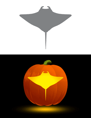 Manta Ray Aerial View Pumpkin Stencil