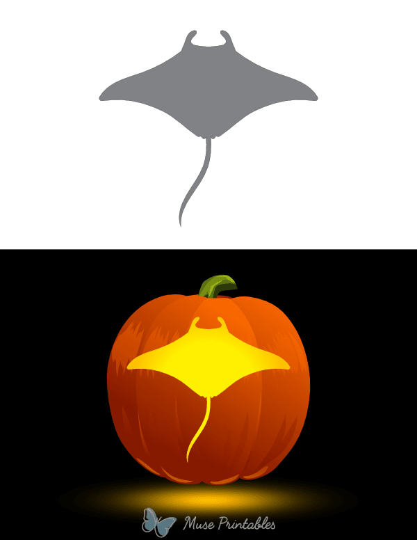 Manta Ray Overhead View Pumpkin Stencil