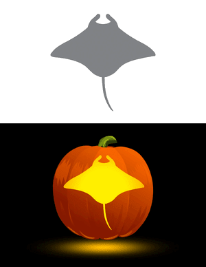 Manta Ray Top Down View Pumpkin Stencil