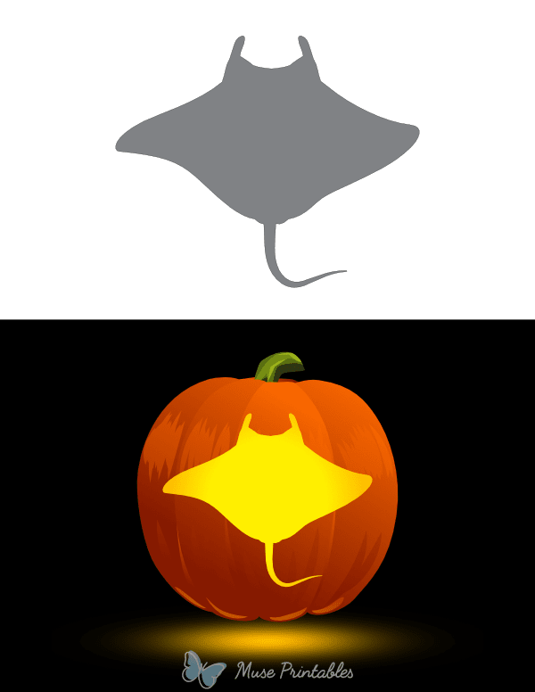 Manta Ray Top View Pumpkin Stencil