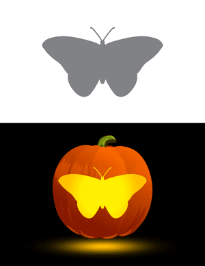 Monarch Butterfly Overhead View Pumpkin Stencil