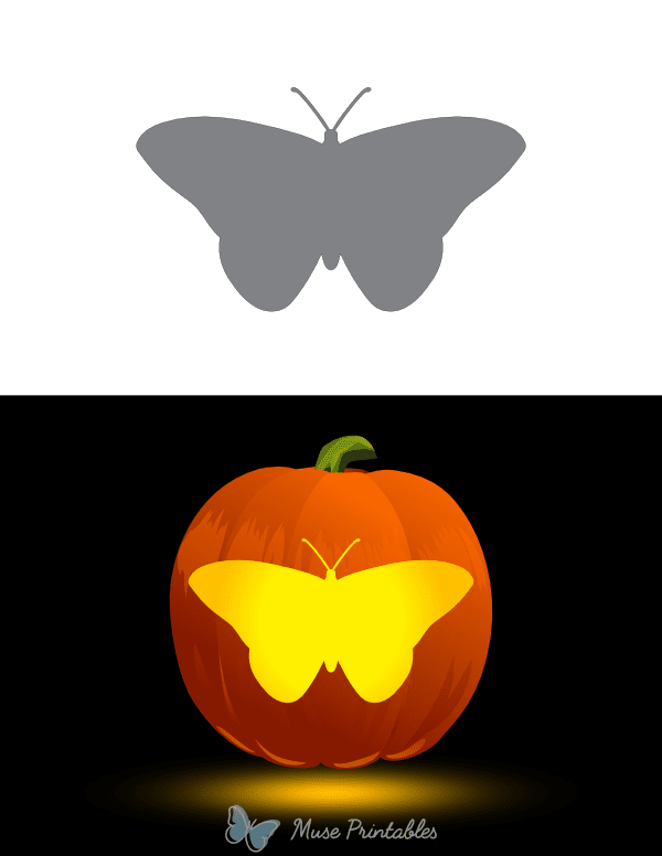 Monarch Butterfly Overhead View Pumpkin Stencil