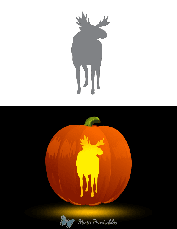 Moose Frontal View Pumpkin Stencil