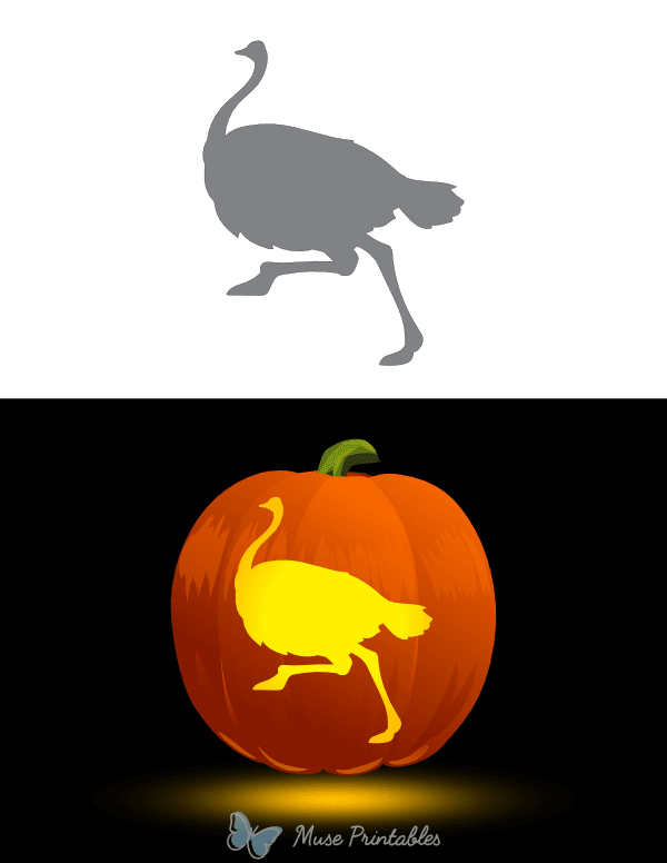 Ostrich Running Pumpkin Stencil