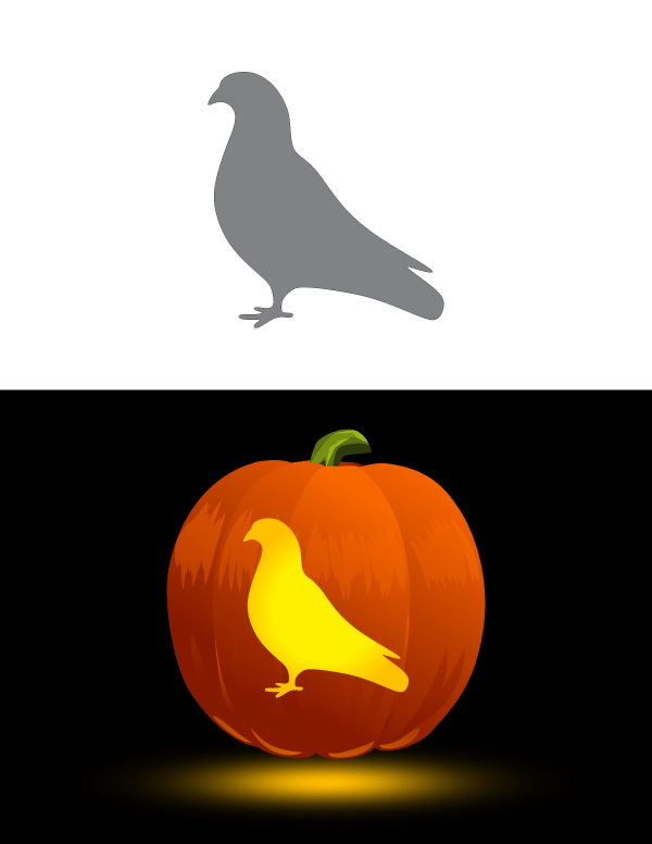 Pigeon Pumpkin Stencil