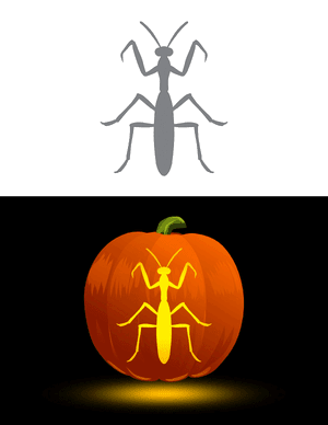 Praying Mantis Overhead Pumpkin Stencil