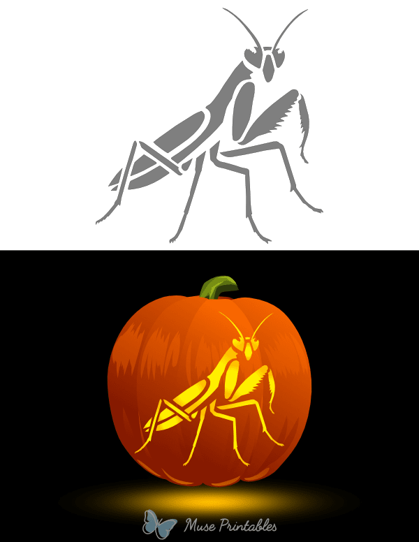 Praying Mantis Pumpkin Stencil