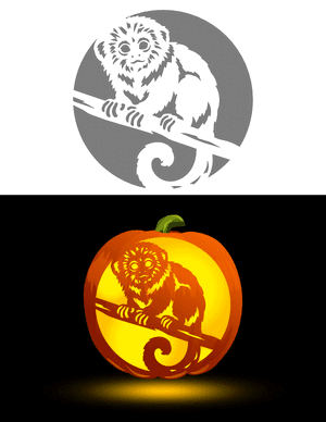 Pygmy Marmoset Pumpkin Stencil