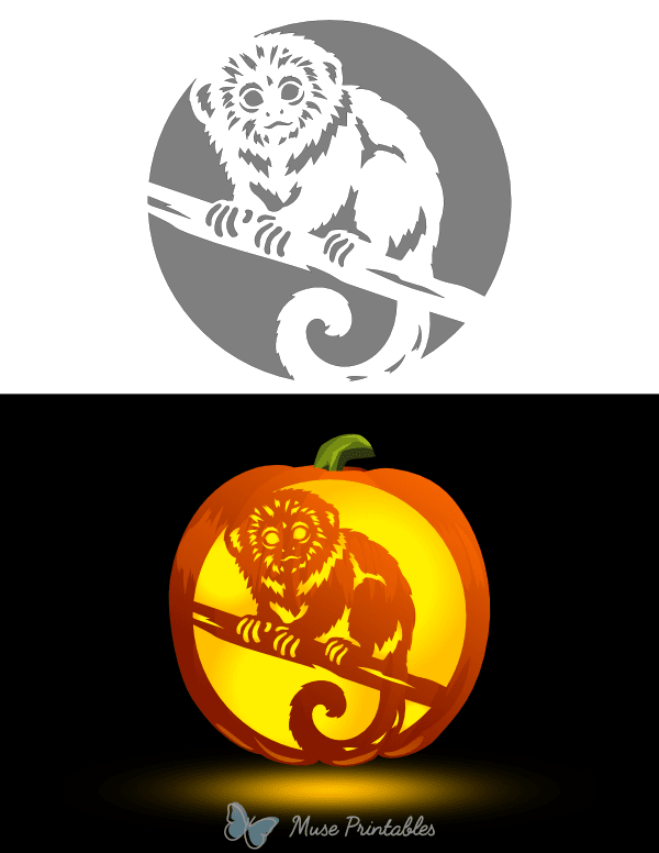 Pygmy Marmoset Pumpkin Stencil