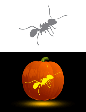 Realistic Ant Pumpkin Stencil